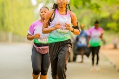 IMG_5311_Original